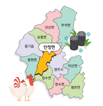 영주시 안정면