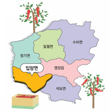 영양군 입암면