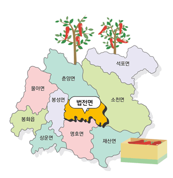 봉화군 법전면